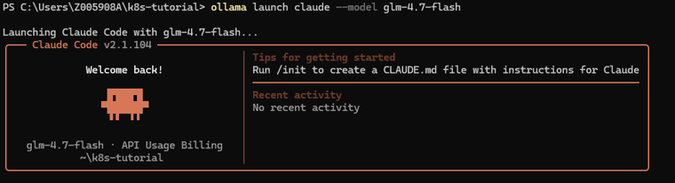 Claude Code running in a terminal on a local model